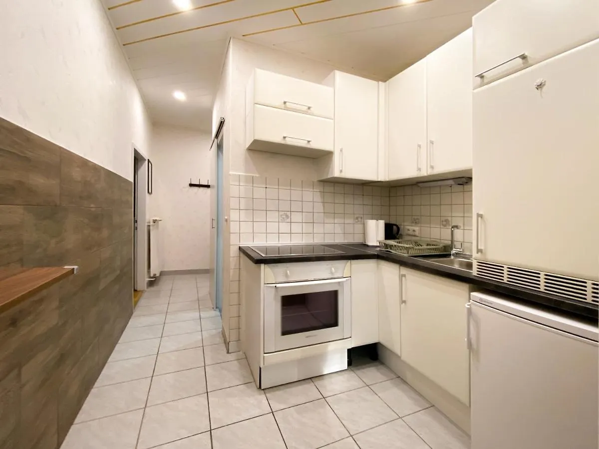 Marios Luxus Apartment Wiedeń